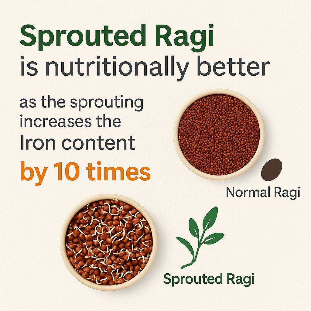 Eat5 Sprouted Ragi Flour (500g) | Healthy & Instant | High Calcium & Iron Superfood | 100% Natural, Gluten-Free, Vegan Millet Flour | Ideal for Porridge, Rotis, Idli, Pancakes & Baking | No Preservatives, No Additives